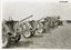 11170.03P Frederick Harcourt Collection