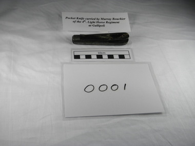 picture of the actual pocket knife carried