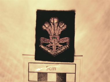 Badge, 4th/19th Prince of Wales's Light Horse Regiment, c 1960's