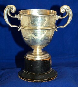 Trophy - Silver Cup with handles on wooden base