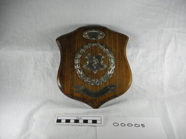 School Sports Shield