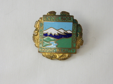 Badge Brass - Mt Beauty High School, circa 1970