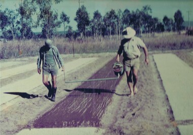 Photograph Tobacco planting, Planting Tobacco seeding, Circa mid to late 1900's