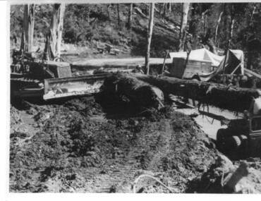 Photograph, logging at McKay Creek, Logging at McKay Creek, c1950's