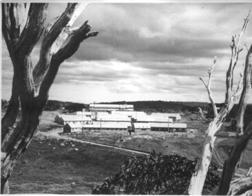 Photograph of Pretty Valley Workers Camp*, Pretty Valley Camp, circa 1949