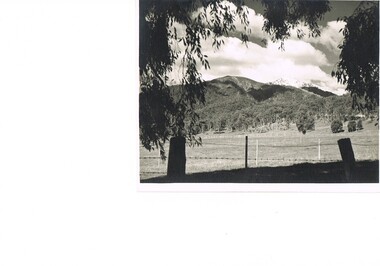 Photograph Farm Land, Mount Beauty Acreage before Golf Course, Circa 1950