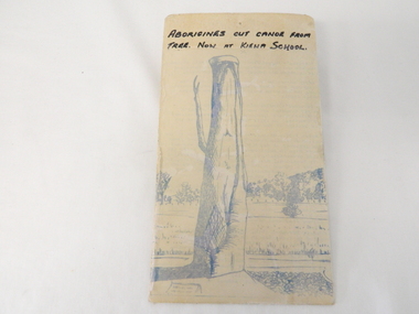 Sketch Tree Bark, Aboriginal - bark removed from tree