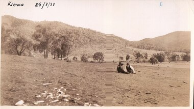 Black and white photograph of farmland, Kiewa, 25/8/38, circa 1938