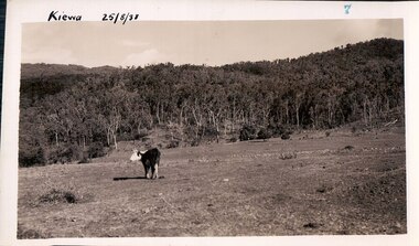 Black and white photograph of farmland, Kiewa, 25/8/38, circa 1938