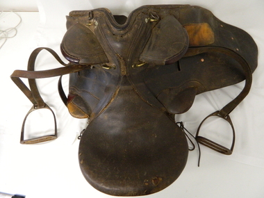 Saddle Horse Stock, Circa 1950