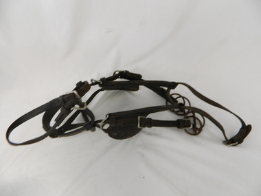 Bridle Horse, circa mid to late 1900's