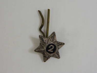 Badge - Girl Guide Service