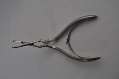Nasal Polyp Holder