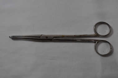 Packing Forceps - straight