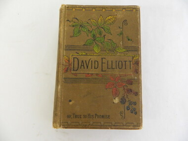 Book - Religion - Prize, David Elliott - True to his Promise by C. E. Irvine