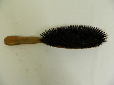 Clothes Brush - Personal Item