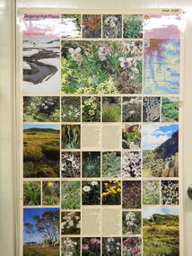 Map / Chart, Vegetation Map & Guide to Alpine Flora: Pretty Valley, 1982