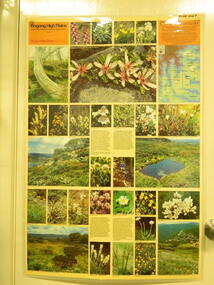 Map / Chart, Vegetation Map & Guide to Alpine Flora: Rocky Valley, 1982