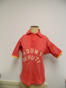 T-shirt - Mt Beauty Sport x2