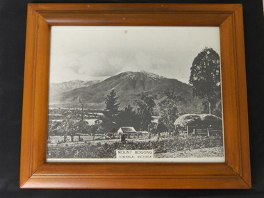 Photo - Mt Bogong, Towanga, Possibly early 1900s