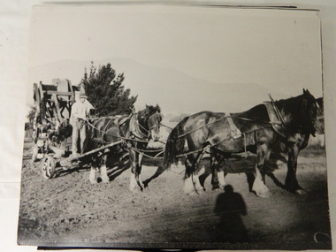 Photos - Horse team working on farm x3