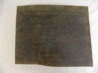 Plaque - Eucalypt Chapmanania, 1947