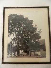 Photo Framed - Bogong Hotel, c 1930's