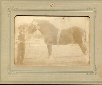 Photo - Henry Fisher and Horse, 1915, Circa 1915