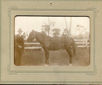 Photo - Paddy Fisher and Horse 1915, 1915