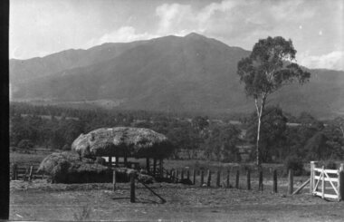 Photograph - Mt Bogong - Tawonga, 06/05/1937