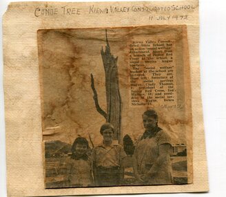Newspaper clipping 11/7/72 Canoe tree in Kiewa & Photo-Tawonga Homestead