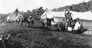 Photographs and copies of photographs of the pack horses and early horsemen who transported supplies to outposts in the Bogong High Plains, via cattle tracks before access roads were made