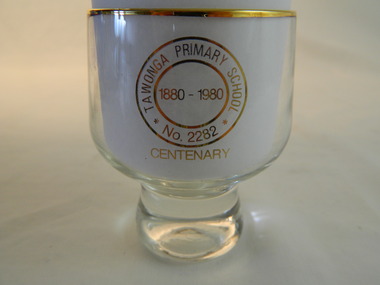 Trophies - Glass - Tawonga Primary School, 1980
