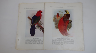 Papers - Weekly Times Supplement, Wild Nature Series Nos. 1 - 90, 1932 - 1934