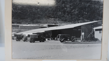 Photo - Kiewa Crescent Mt Beauty Circa 1951