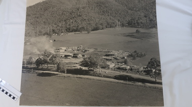 Photo - Tawonga Sawmill