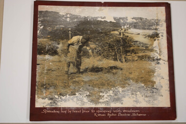 Photo - Kiewa Hydro Electric Scheme - Soil Conservation, Official S.E.C.V. photos