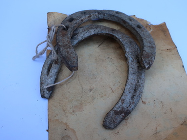 Horse Shoes, Horse Equipment