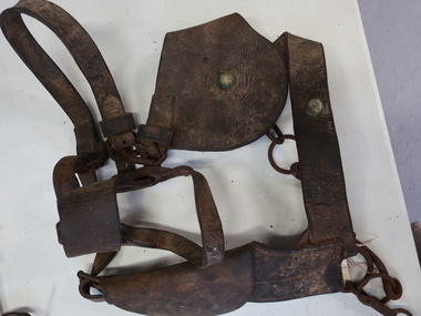 Blinkers, Horse Equipment