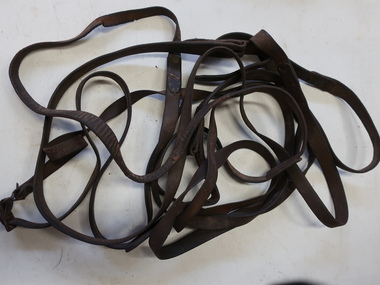 Horse Reins, Horse Equipment