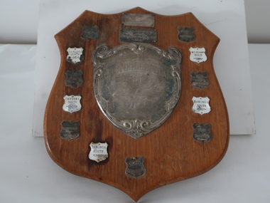 Shield - School Sports