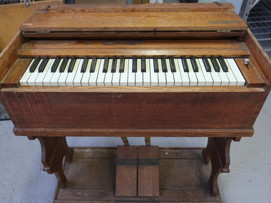 Organ