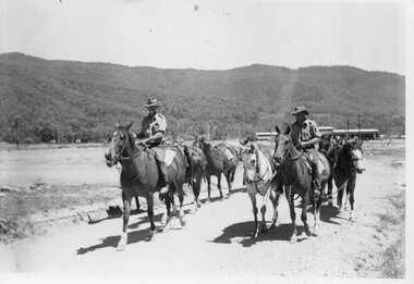 Photo - Pack horses leaving Mt Beauty