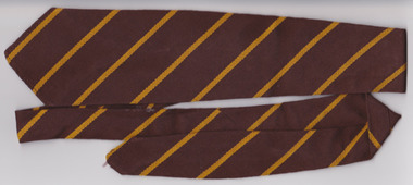 School tie from Warrnambool Primary School 1743 also known as Jamieson Street school.