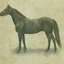 Catalogue listing horses to be sold by the Shipley stud in 1918