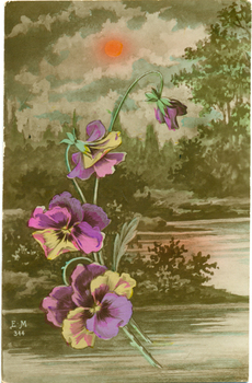 Vickers world ward one postcard Pansies