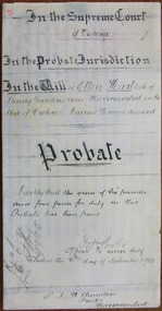 Document, Ellen Hart Probate 1905, 1905