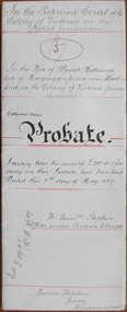 Document, David Williams Probate 1889, 1889