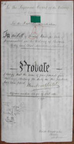 Document, Henry Phillips Probate 1895, 1895