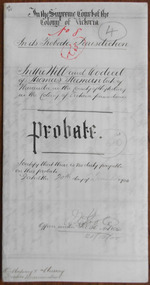 Document, Thomas Sleeman Probate 1900, 1900
